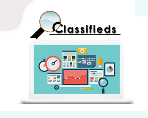 classified website development